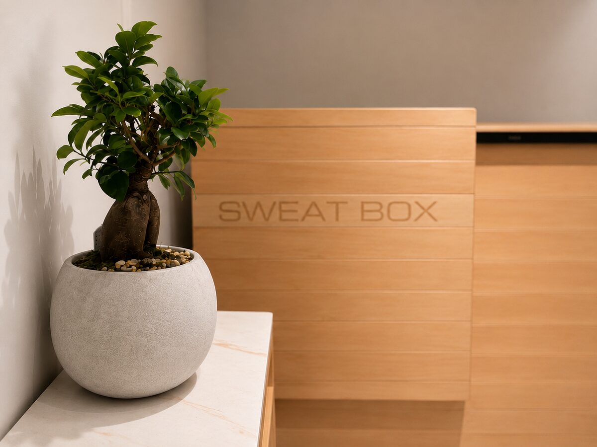 Sweat Box infrared sauna entrance at Hiptwist with a bonsai plant